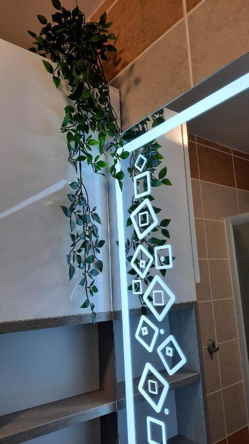 Apartman Modena Lux Vrnjačka Banja Extérieur photo