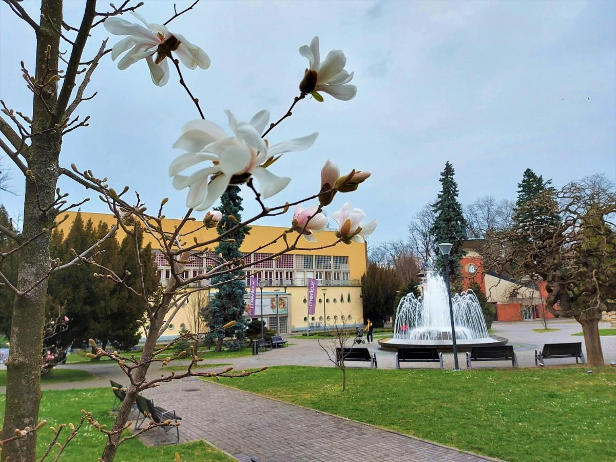 Apartman Modena Lux Vrnjačka Banja Extérieur photo